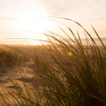 Blogbeitrag (3)